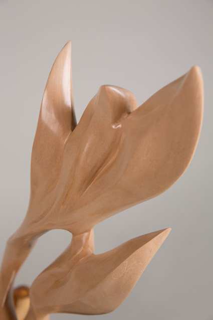 Fleur, Image 2
