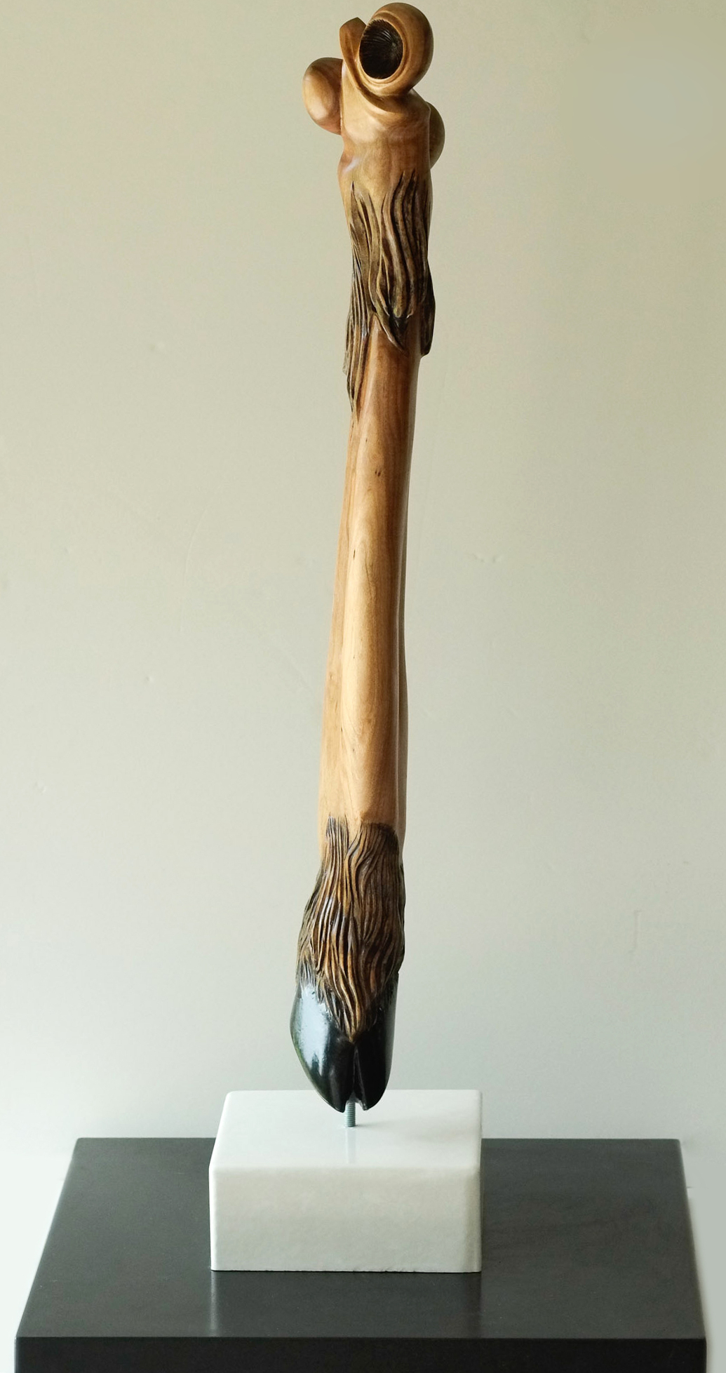 Hoof, Image 1