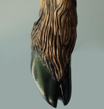 Hoof, Image 3