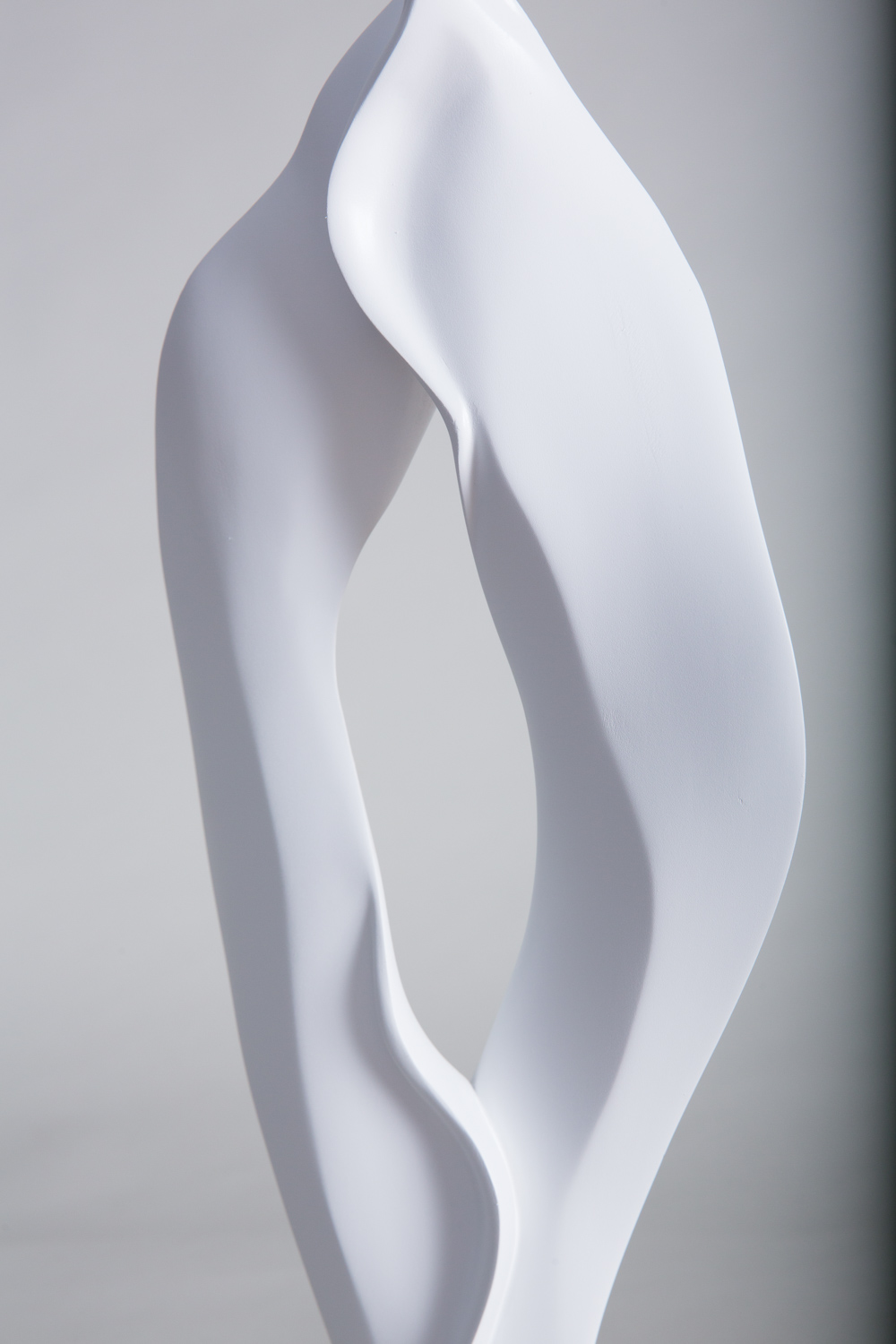 Ribn, Image 2 (Detail)